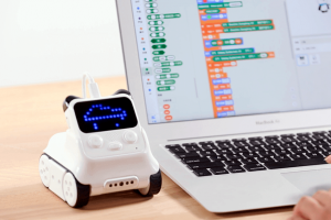 Cursos robótica educativa Codey Rocky